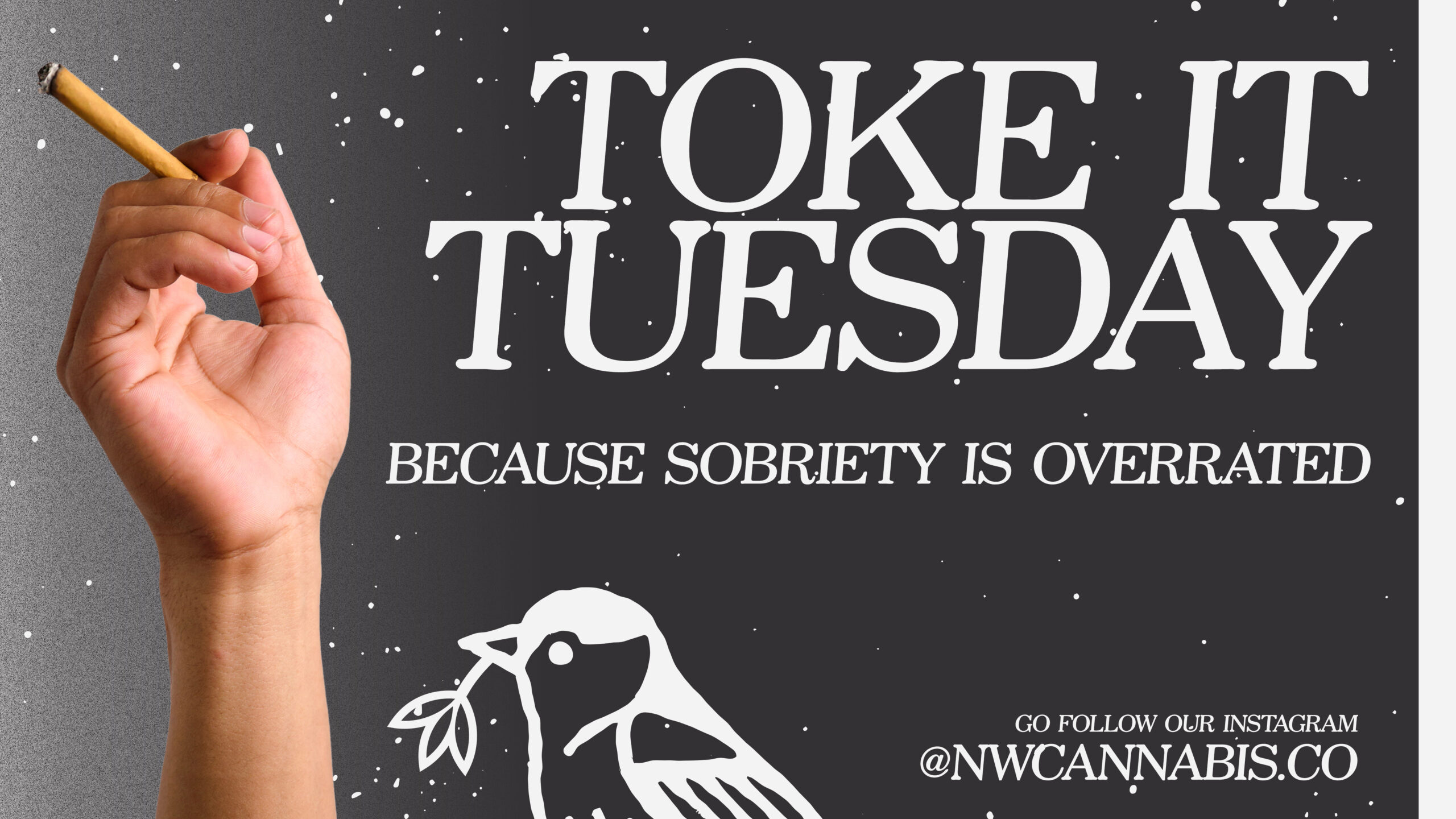 Toke it Tuesday 2